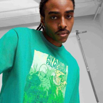Koszulka męska SE Palmeiras