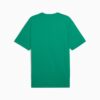 Koszulka męska SE Palmeiras