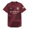 Koszulka piłkarska Manchester City 24/25 Authentic Third „Dark Jasper”