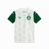 Koszulka piłkarska SE Palmeiras Torcedor ’25 Away dla dużych dzieci