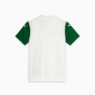 Koszulka piłkarska SE Palmeiras Torcedor ’25 Away dla dużych dzieci