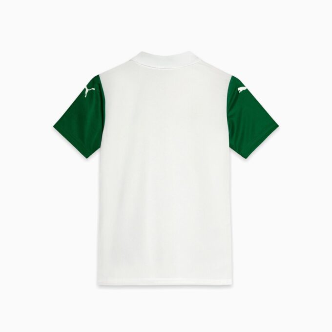 Koszulka piłkarska SE Palmeiras Torcedor ’25 Away dla dużych dzieci