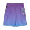 MELO Charlotte Graphic Basketball Shorts „Purple Glimmer”