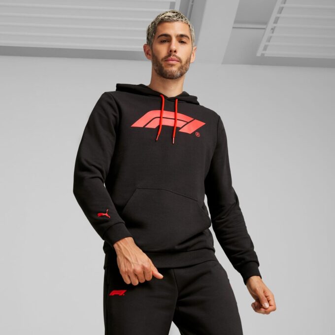 Męska bluza z kapturem Formula 1® Motorsport Essentials