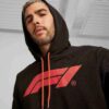 Męska bluza z kapturem Formula 1® Motorsport Essentials