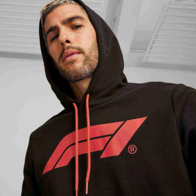 Męska bluza z kapturem Formula 1® Motorsport Essentials