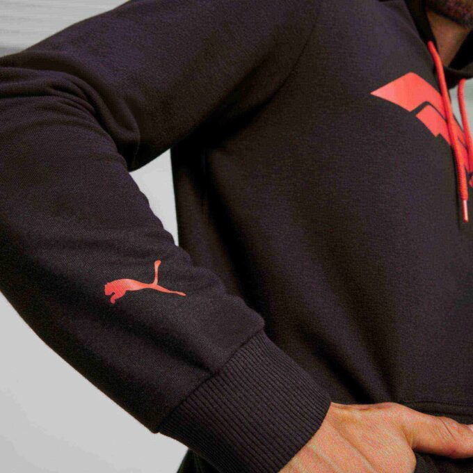 Męska bluza z kapturem Formula 1® Motorsport Essentials