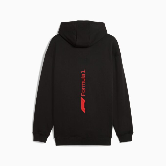 Męska bluza z kapturem i zamkiem błyskawicznym Formula 1® Motorsport Essentials Męska bluza z kapturem i zamkiem błyskawicznym Formula 1® Motorsport Essentials