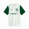 Męska wyjazdowa koszulka piłkarska SE Palmeiras Torcedor ’25