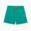 Męskie kąpielówki Swim 5,5″