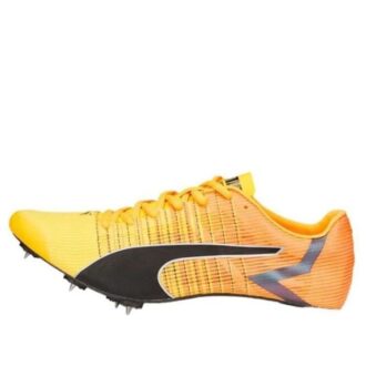 Pędzel EvoSpeed  Tokyo 4 „Pomarańczowy”