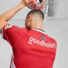 PSV Eindhoven 24/25 Męska replika koszulki domowej piłkarskiej PSV Eindhoven 24/25 Męska replika koszulki domowej piłkarskiej