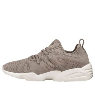 PUMA Blaze Ct Szary