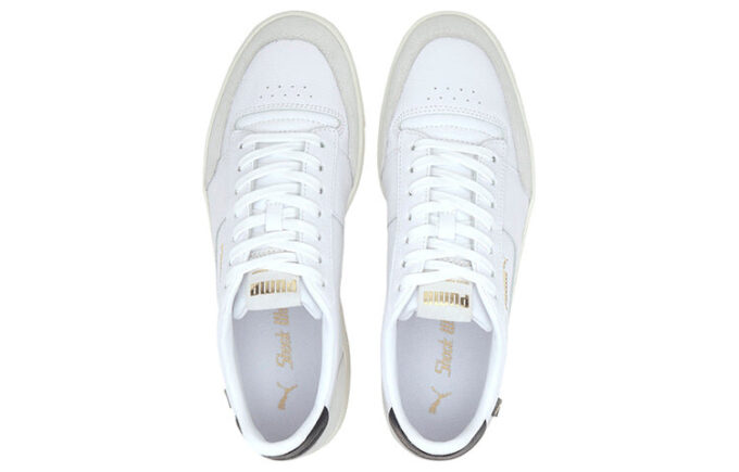 Ralph Sampson MC Premium „Whisper White”