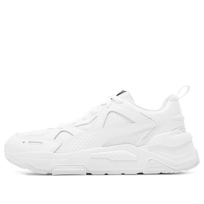Rdzeń PUMA RS-Simul8