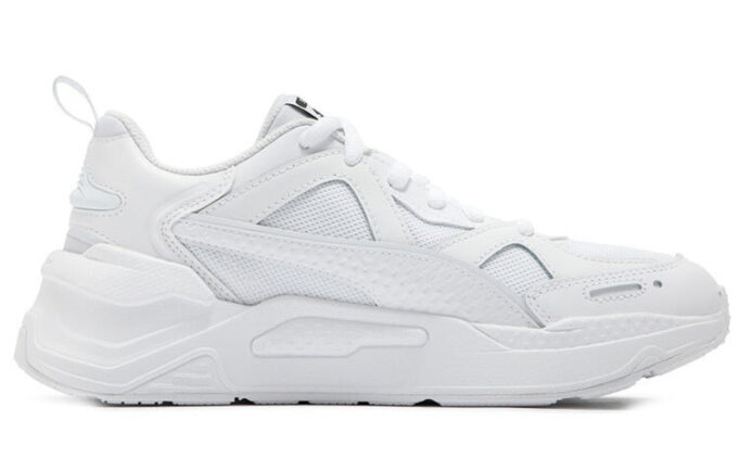 Rdzeń PUMA RS-Simul8