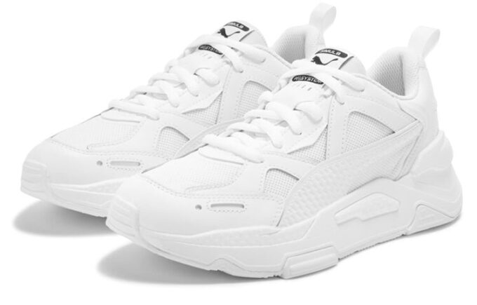 Rdzeń PUMA RS-Simul8