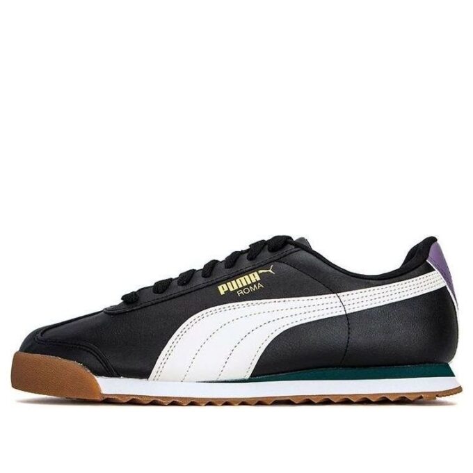 Roma Basic Plus „Biały Varsity Green”