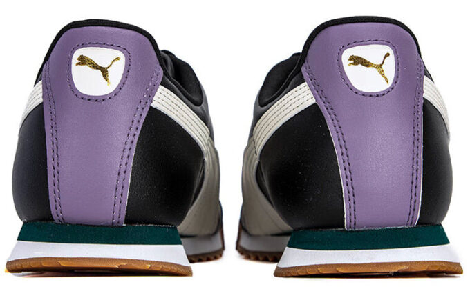 Roma Basic Plus „Biały Varsity Green”