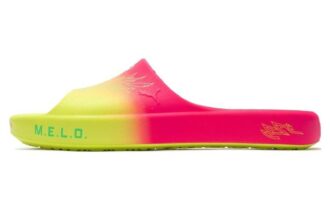 Shibui Cat Slide x Rick and Morty x LaMelo Ball „Adventures”