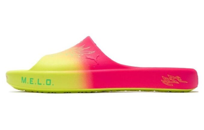 Shibui Cat Slide x Rick and Morty x LaMelo Ball „Adventures”
