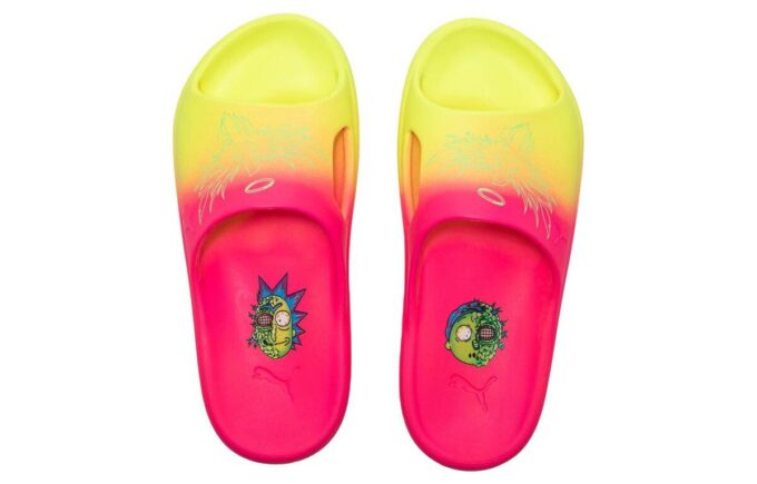 Shibui Cat Slide x Rick and Morty x LaMelo Ball „Adventures”