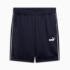 Spodenki sportowe Heritage Men 9″