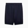 Spodenki sportowe Heritage Men 9″