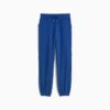 Spodnie dresowe Essentials Satin Women Spodnie dresowe Essentials Satin Women