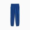 Spodnie dresowe Essentials Satin Women Spodnie dresowe Essentials Satin Women