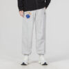 Spodnie Team Pants Tr Logo „Szare”