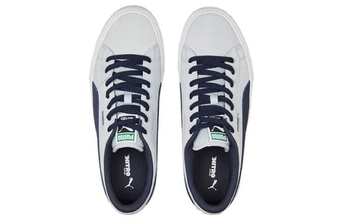 Suede Skate Nitro „Platinum Grey Parisian Night”