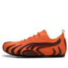Talon „Pieprz cayenne”