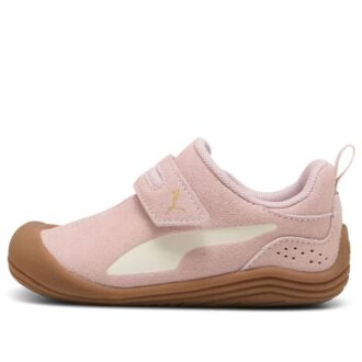 (TD) Kitten Premium „Mauve Mist”