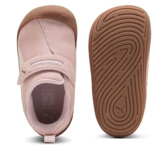 (TD) Kitten Premium „Mauve Mist”