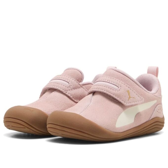 (TD) Kitten Premium „Mauve Mist”