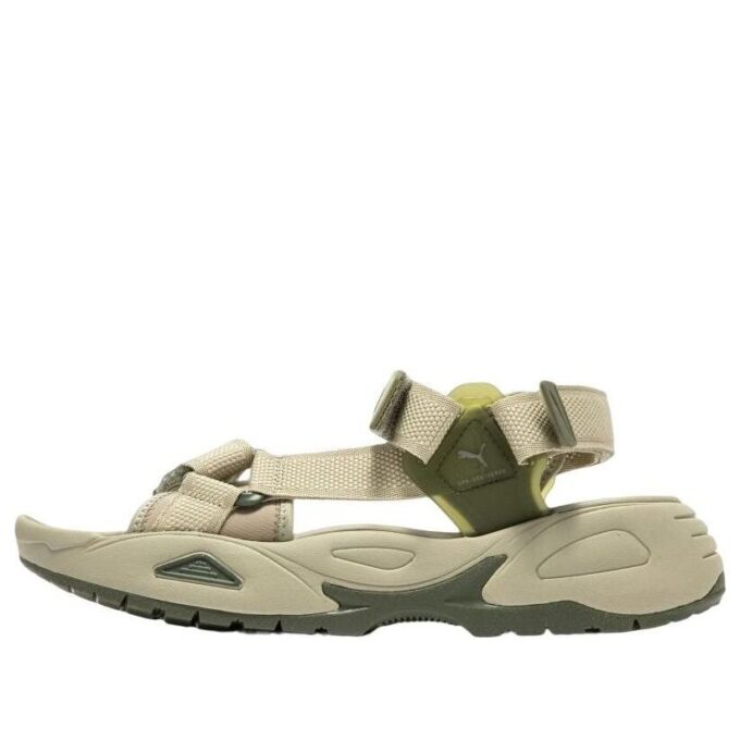 Traek Lite „Brzoza”