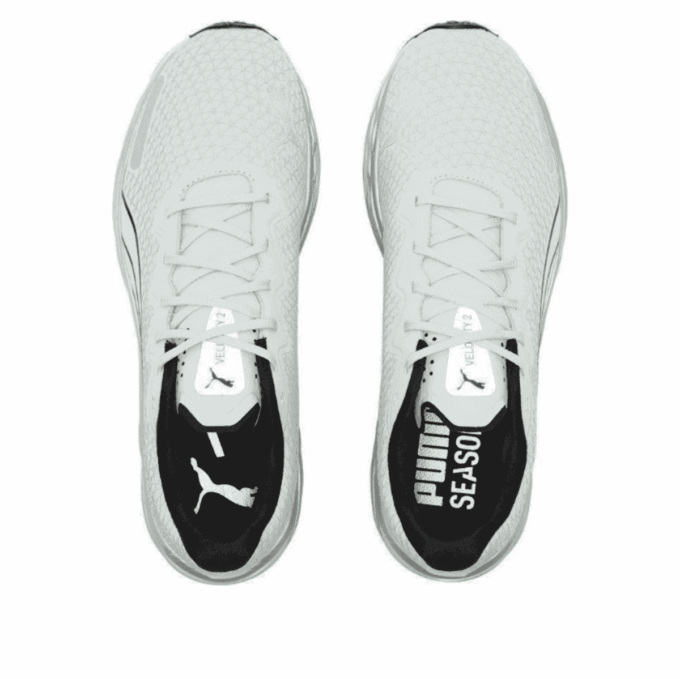 Velocity Nitro 2 WTR „Teal White”