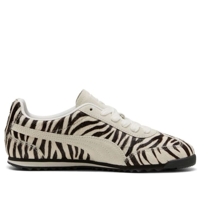 (WMNS) Arizona „Zebra”