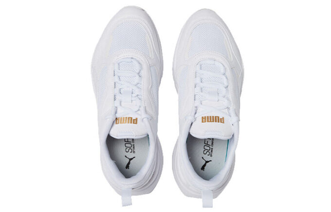 (WMNS) Cassia „Biały Zespół Złota”