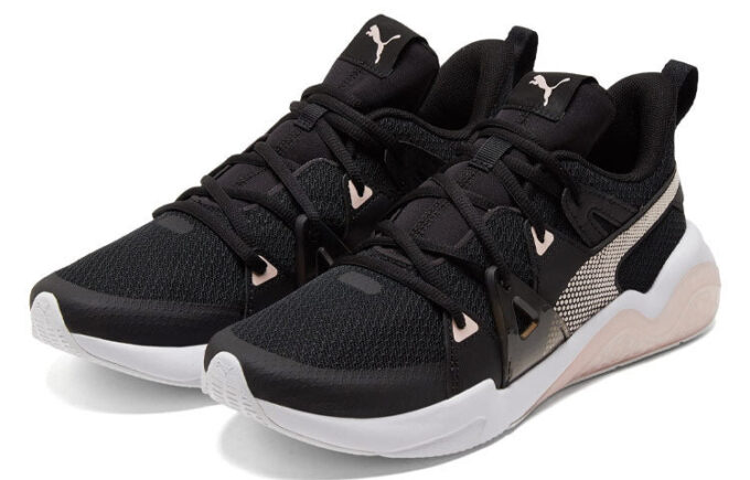 (WMNS) Frakcja komórkowa „Czarny Lotos”
