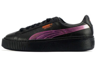 (WMNS) Platforma koszowa „Tęcza”