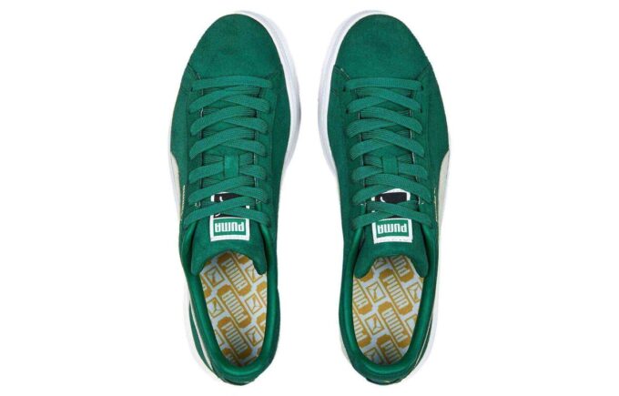Zamsz Classic 21 „Vine White”