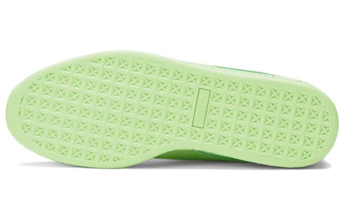 Zamsz Triplex „Mono Neon”
