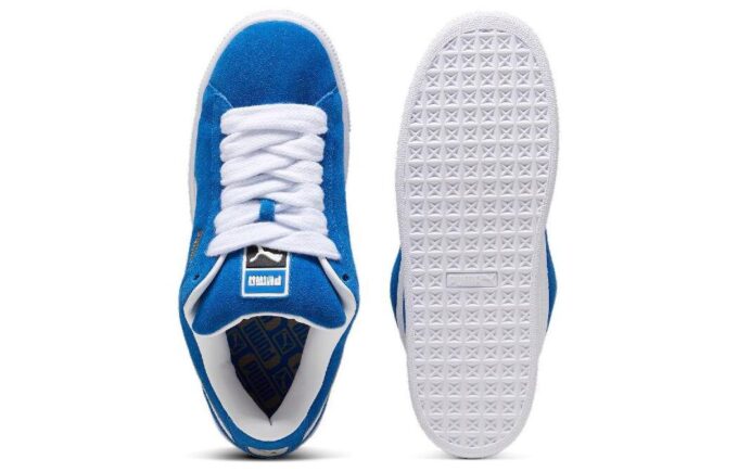 Zamsz XL „Electric Blue White”